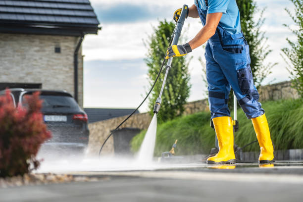 Best Roof Washing  in Forest Hills, PA